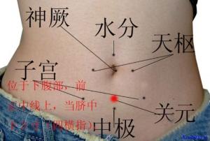 點擊將在新窗口查看全圖 五種肥胖的中醫(yī)艾灸減肥新方法【附圖文】